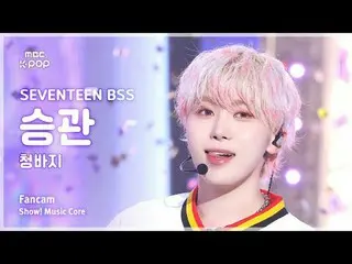 [#Soundsound Fan Cam] SEVENTEEN_ _  BSS SEUNGKWAN (SEVENTEEN_  Psokson Sungkan) 