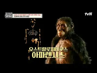 Stream on your TV:

 185th | Apes are not the ancestors of humans! Misconception