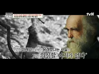 Stream on your TV:

 185th | Apes are not the ancestors of humans! Misconception