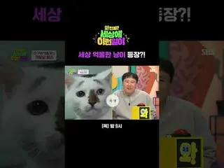 The world's most frustrating cat appears?
 #Jun Hyun Moo_  #Baek Ji Yeong_  #Kim