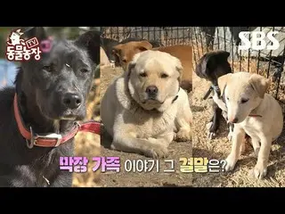 #Shin Dong-yup #Jeon SoNee (Jeon Sung-hee)_  #Tony Ahn (HOT)_  #JOY
 #TV Animal 