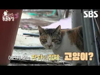 #Shin Dong-yup #Jeon SoNee (Jeon Sung-hee)_  #Tony Ahn (HOT)_  #JOY #Cat #Struct