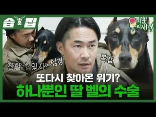 Another crisis? Surgery for only daughter Belle
 #Bae Jung Nam_  #Bell
 #SBS Ent