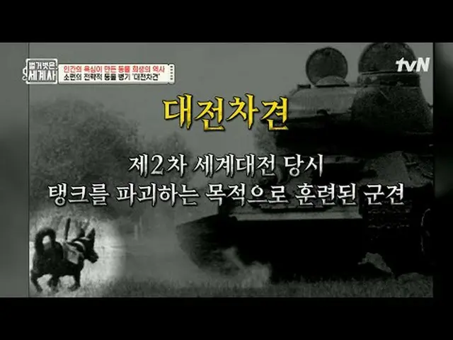 Stream on your TV: 200 times | The history of animal sacrifice caused by human g