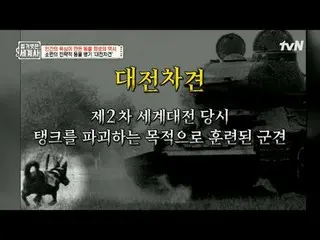 Stream on your TV:

 200 times | The history of animal sacrifice caused by human