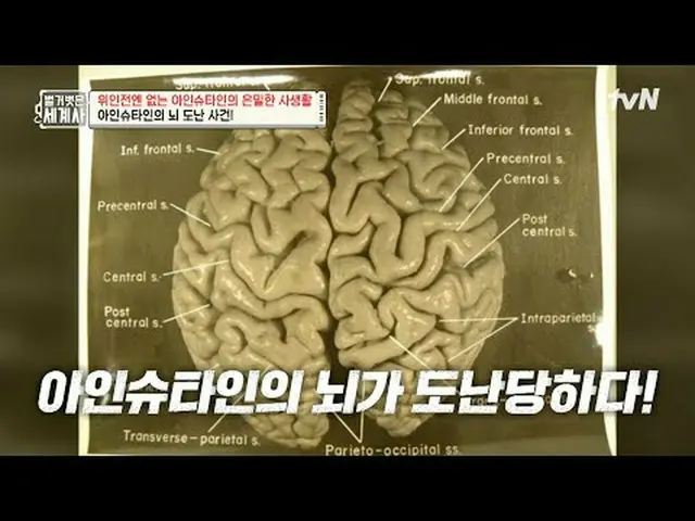 Stream on your TV: 202nd | Einstein's secret private life that was not revealed 