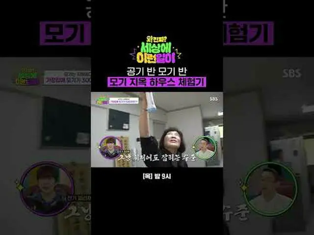 Air Half Mosquito Half Mosquito Hell House Experience Machine #Jun Hyun Moo_  #B