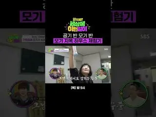 Air Half Mosquito Half Mosquito Hell House Experience Machine
 #Jun Hyun Moo_  #