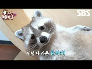 #Shin Dong-yup #Jeon SoNee(Jung Sung-hee)_  #Tony Ahn(HOT)_  #JOY #Racoon
 #TV A