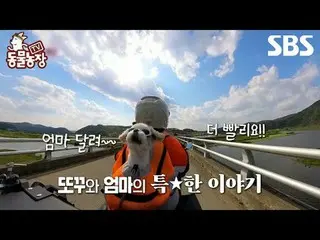 #Shin Dong-yup #Jeon SoNee (Jeon Sung-hee)_  #Tony Ahn (HOT)_ 
 #TVAnimalFarm #A