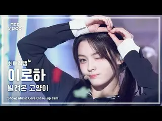 [#Beloved Fan Cam] ILLIT_ _  IROHA (ILLIT_  いろは) – Borrowed Cat (Do the Dance) |