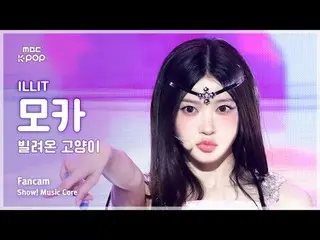 [#Shadow Fan Cam] ILLIT_ _  MOKA (ILLIT_  Mocha) – Borrowed Cat (Do the Dance) F