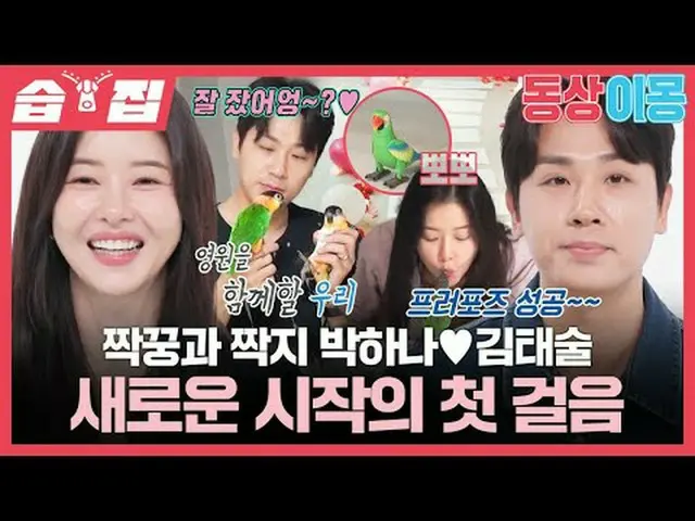 Pair and Pair Park HaNa_ ♥ Kim Tae-sul's first step towards a new start #Park Ha