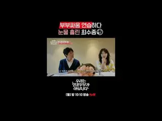 Korean representative parakeet couple Choi and Suzy Chung_
 Marital Trouble Mirr