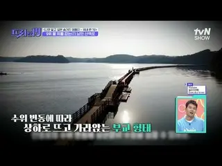 Stream on your TV:

 #Jun Hyun Moo_  #Oh Sang-jin #Han Seok-jun

 Freehand 19 fr