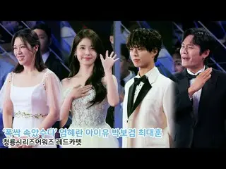 250718 4th Blue Dragon Series Award IU_ ̈ Fancam by 스피넬
 * Do not edit. Do not r