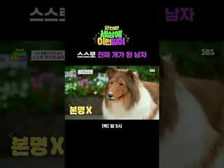 The man who turned himself into a real dog
 #Jun Hyun Moo_  #Baek Ji Yeong_  #Ki
