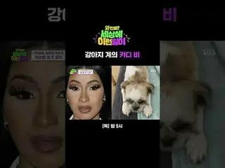 Puppy-like Cardi B
 #Jun Hyun Moo_  #Baek Ji Yeong_  #Kim Hoyoung #Subin
 #SBSWo