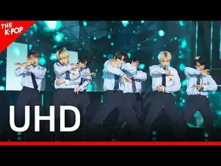 ENHYPEN_ _ , Drunk-Dazed (ENHYPEN_ , Drunk-Dazed) [THE SHOW 210518] UHD K-POP Ev