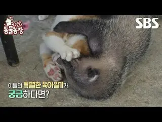 #Shin Dong-yup #Jeon SoNee (Jeon Sung-hee)_  #Tony Ahn (HOT)_ 
 #SBS Education #
