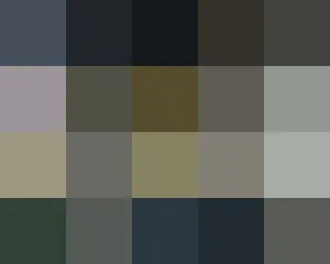 **Japanese Comic & Anime SPY x fAMILY Spy Family - No Character Cosplay
 **Not a