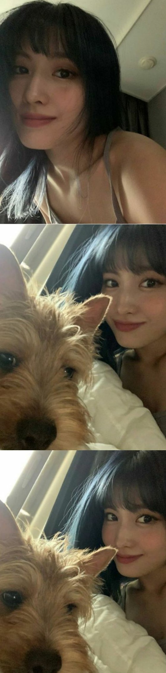 "TWICE" Momo encourages "stay home" = "Outside the futon is dangerous"