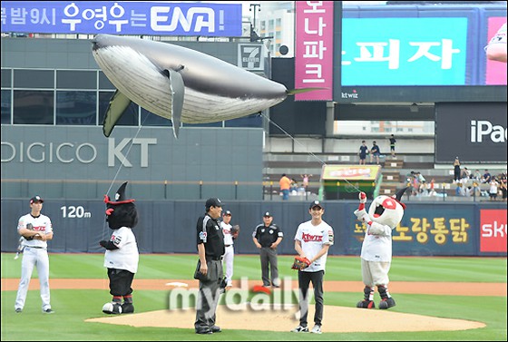 [Photo] Actor Kang Tae Oh, instead of lawyer Woo Young Woo, "I came to the Opening Ceremony with a whale!"