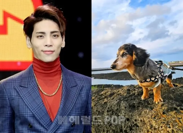 「SHINee」故ジョンヒョンさんの愛犬、虹の橋を渡った…「おかげでたくさん笑って頑張れた」