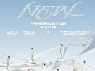 "SEVENTEEN" accident involving sparks flying in the audience at Incheon concert on the 13th... "Actively supporting medical procedures"