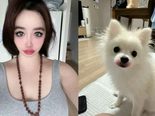 BOM (2NE1) names phone number and astronomical amount of money in lawsuit against Yang Hyun-suk... "Worried" after revealing pet dog with lipstick