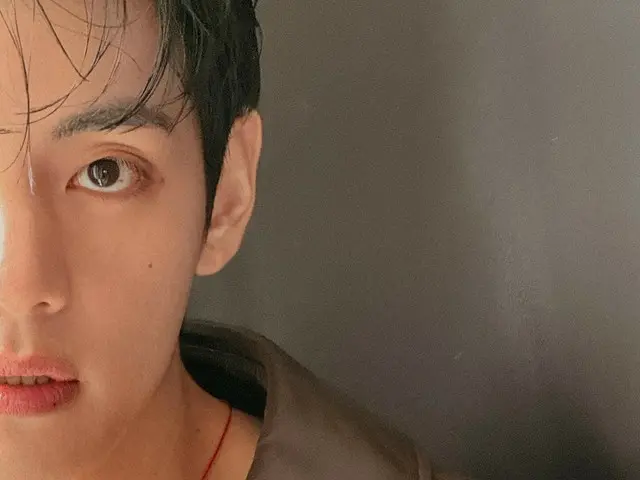 「BTS」V、雰囲気ある秋の男に
