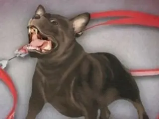 A "vicious dog on the loose" bites a passerby's genitals, leaving him covered in blood... Who is the owner? (South Korea)