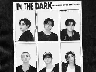 Stray Kids releases collaboration with DJ Snake on "In The Dark"