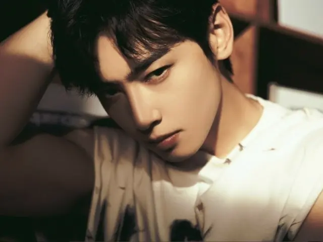 Cha EUN WOO (ASTRO), currently serving in the military, releases concept photos for his second solo album "ELSE"... A surprising charm that breaks the boundaries between day and night