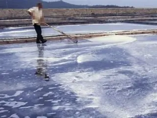 South Korea arrests owner of Sinan salt farm for labor exploitation, unpaid wages, etc.