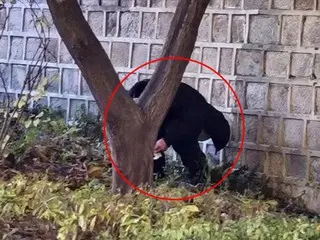 Foreigners causing trouble... This time, "half-naked running" at Gwanghwamun = South Korea