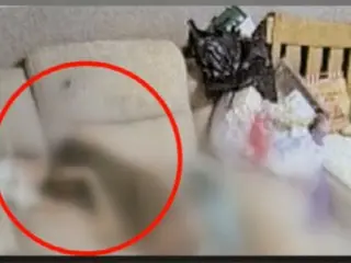 "Wife with maggots all over her body" husband is an army non-commissioned officer... Family reveals details of discovery (South Korea)