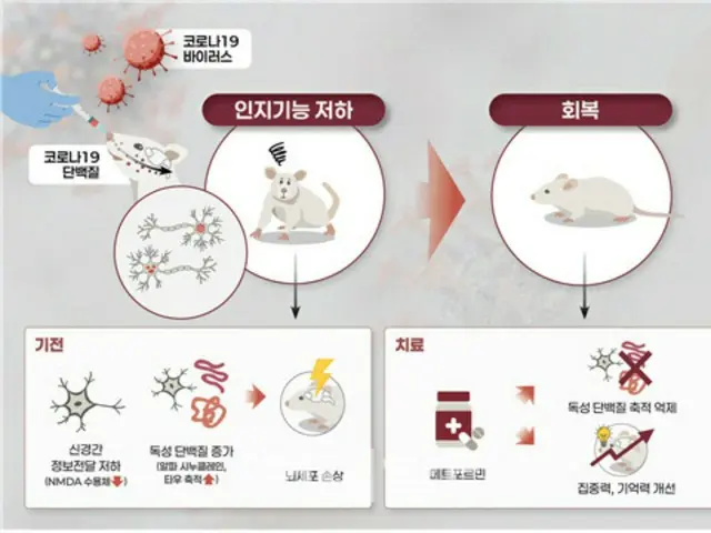 「コロナ後から物忘れがひどい…その理由が明らかに」=韓国報道