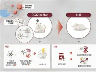 "My memory has gotten worse since the coronavirus outbreak... The reason is clear" - Korean media