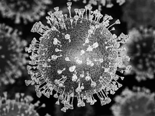 Wuhan lab bat researcher denies 'coronavirus leak theory'