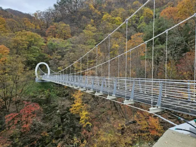 紅葉の名所に2つの橋が開通へ、京畿道の加平郡で＝韓国