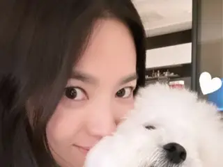 Actress Song Hye Kyo has a puppy-sized face... a goddess of natural purity