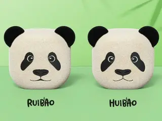 Samsung Electronics' Galaxy Buds 2 now comes with popular twin panda case = South Korea
