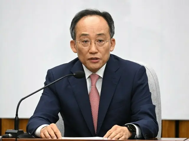 秋慶鎬、国民の力院内代表