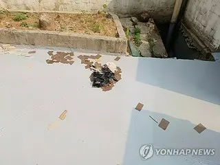 12 cases of damage caused by North Korean "filthy balloons" - cars, homes, etc. damaged in South Korea