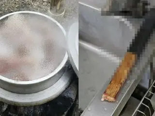 "To eat dog meat soup"... A man in his 60s is indicted in South Korea for killing his pet dog