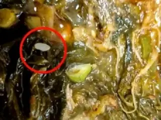 Why are there grains of rice coming out of Haejangguk? ... Customers are "frustrated" by suspicions that delivery food is being reused = Korea