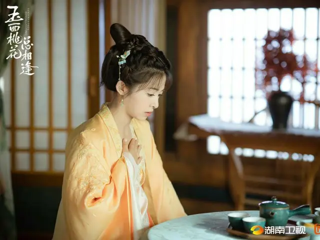 <Chinese TV Series NOW> "Jade Faced Peach Blossom - A Contract Marriage that Brings Fortune" 2EP3, Hu Jiao decides to sell the medicine in a place where Nan Fengzhai's influence does not reach = Synopsis / Spoilers