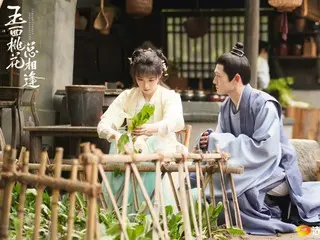 <Chinese TV Series NOW> "The Peach Blossom of a Beautiful Woman" 3EP2, Queen Ning realizes her mistake thanks to Hu Jiao = Synopsis / Spoilers