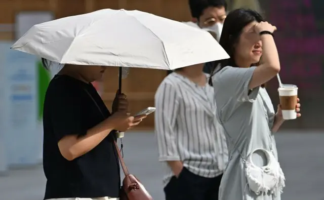 猛暑により土曜日に熱中症で3人が死亡…今年の累計11人＝韓国（記事と写真は無関係）